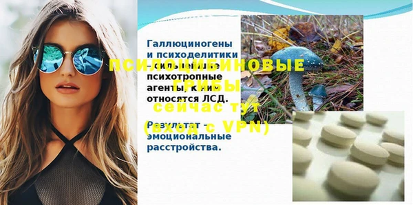 ешки Пересвет